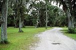 Road into Elliotts Beach